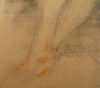 Close-up details showing Anders ZORN signature forgery characteristics