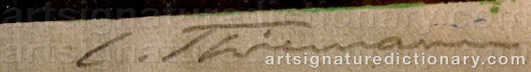 Authentic signature by Carl Theodor THIEMANN on  artwork