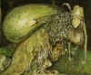 Close-up details showing John BAUER signature forgery characteristics