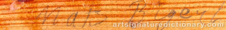 Authentic signature by Mats BIGERT on  artwork