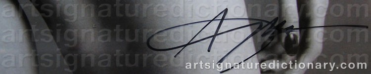 Authentic signature by Inez Van LAMSWEERDE on artwork