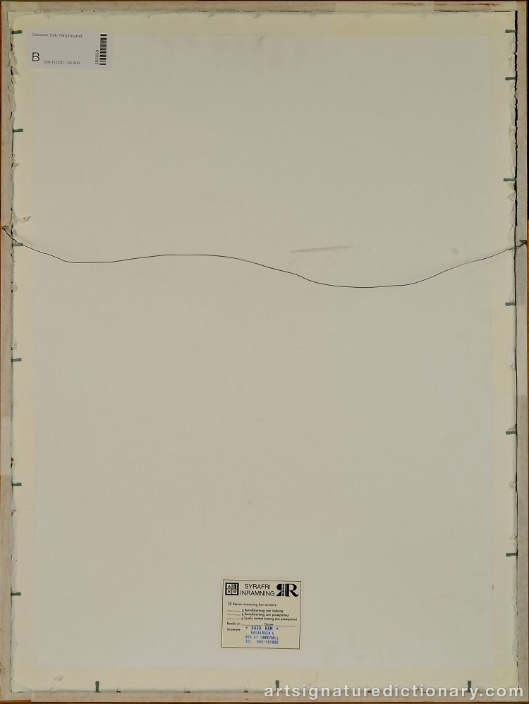 Close-up details showing Salvador DALI signature forgery characteristics