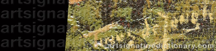 Authentic signature by Tinus De JONG on  artwork