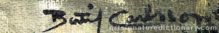 Authentic signature by Bertil CARLSSON on  artwork