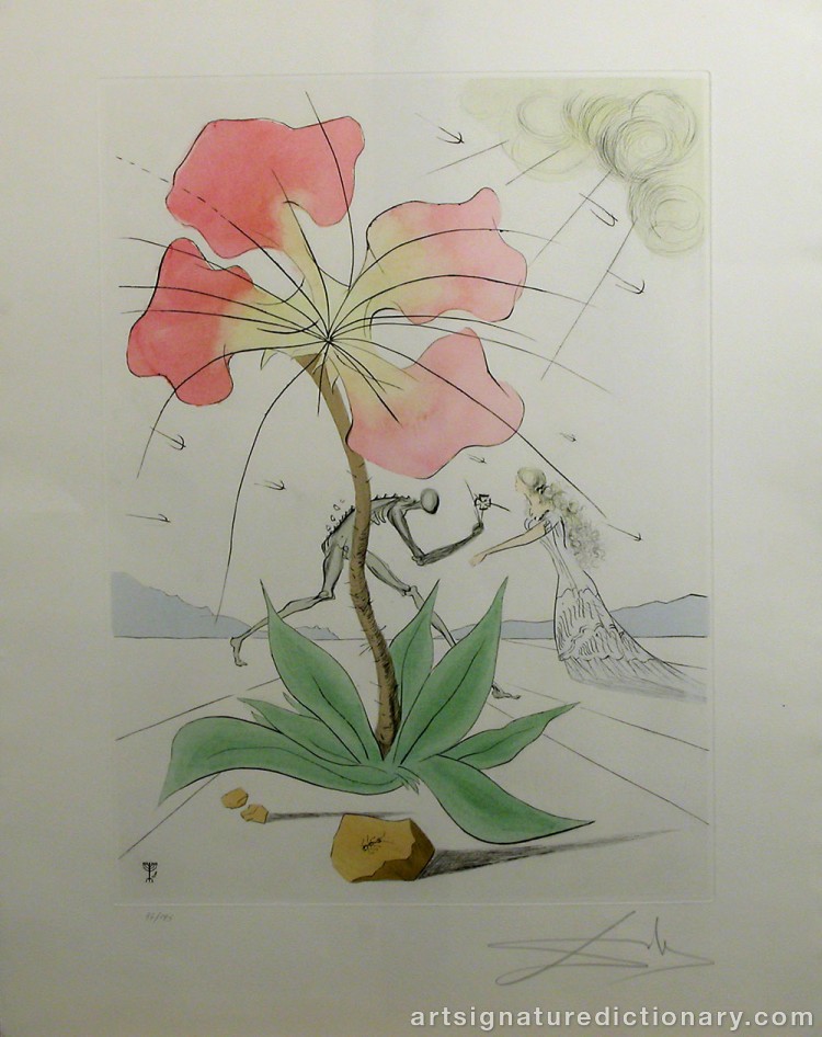 Close-up details showing Salvador DALI signature forgery characteristics