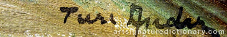 Signature by Ture ANDER
