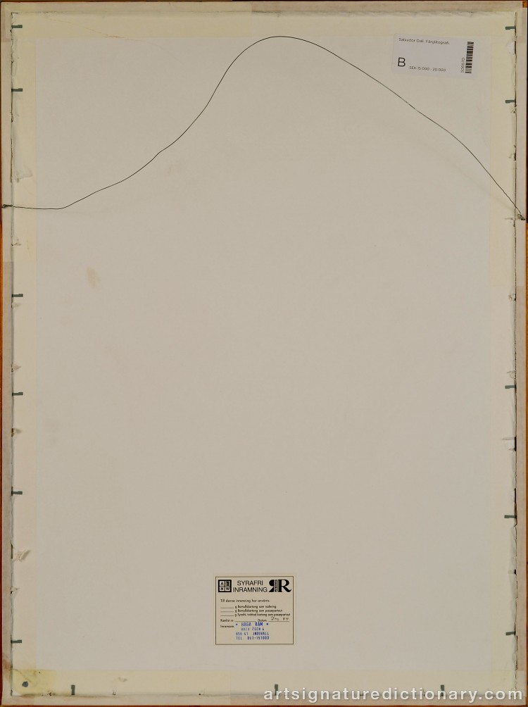 Close-up details showing Salvador DALI signature forgery characteristics