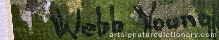 Authentic signature by Webb YOUNG on artwork