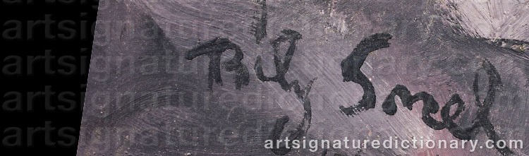 Authentic signature by Bily SNEL on  artwork