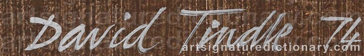 Authentic signature by David TINDLE on Painting/Watercolour artwork