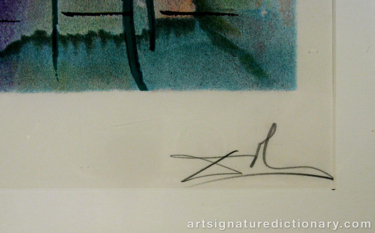 Close-up details showing Salvador DALI signature forgery characteristics