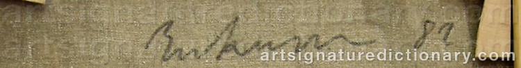 Authentic signature by Jens BIRKEMOSE on artwork