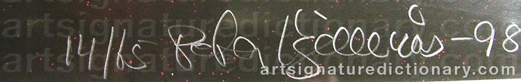 Authentic signature by Peter KJELLERÅS on artwork