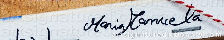 Signature by Maria Manuela VINTILESCU