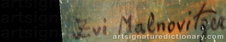 Authentic signature by Zvi MALNOVITZER on  artwork