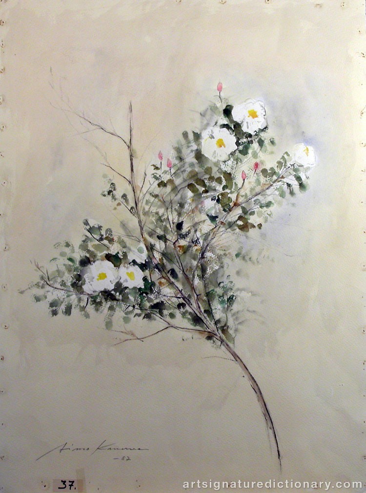 Close-up details showing Aimo KANERVA signature forgery characteristics