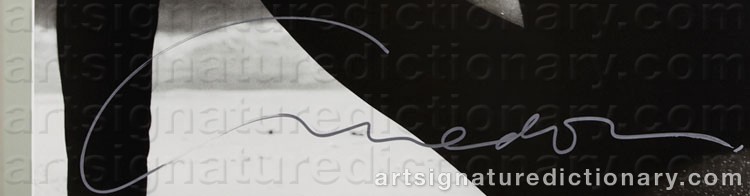 Authentic signature by Richard AVEDON on  artwork