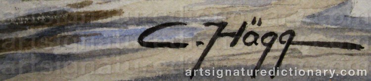 Authentic signature by Christer HÄGG on  artwork
