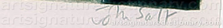 Authentic signature by John SALT on  artwork