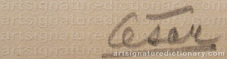 Signature by César ‘César’ BALDACCINI