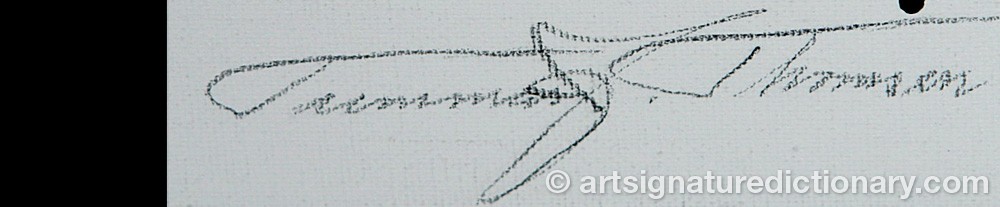 Authentic signature by Tummas Jákup THOMSEN on  artwork