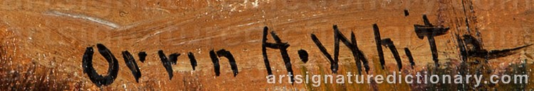 Authentic signature by Orrin Augustine WHITE on Painting/Watercolour artwork
