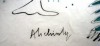 Close-up details showing Pierre ALECHINSKY signature forgery characteristics