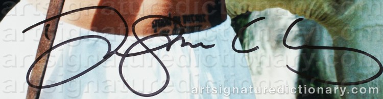 Authentic signature by David LACHAPELLE on Drawing/Graphic/Print artwork