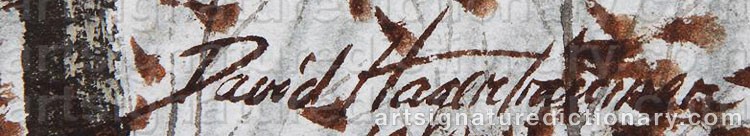 Authentic signature by David HAGERBAUMER on  artwork