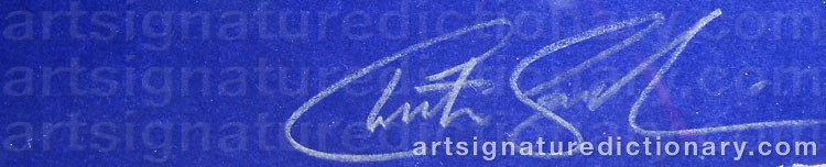 Authentic signature by Christer SANDELIN on  artwork