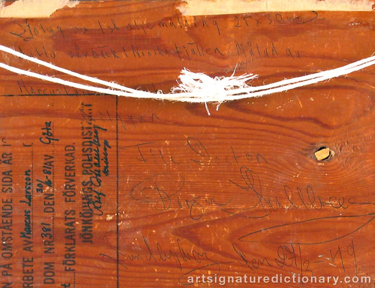 Close-up details showing Marcus LARSON signature forgery characteristics