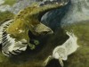 Close-up details showing Bruno LILJEFORS signature forgery characteristics