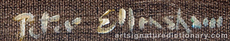 Authentic signature by Peter ELLENSHAW on Painting/Watercolour artwork