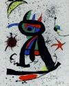 Close-up details showing Joan MIRO signature forgery characteristics