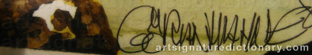 Authentic signature by Göran HAHNE on  artwork