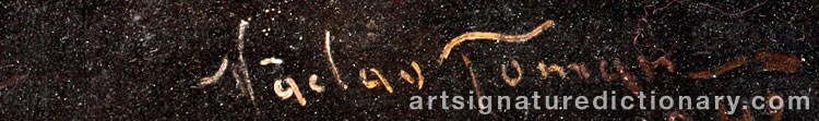 Authentic signature by Vaclav TOMAN on  artwork