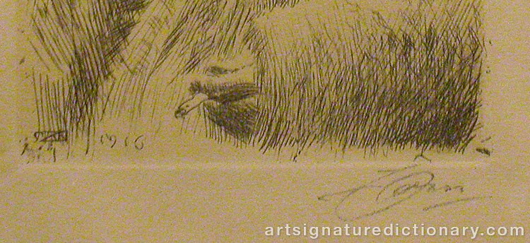 Close-up details showing Anders ZORN signature forgery characteristics
