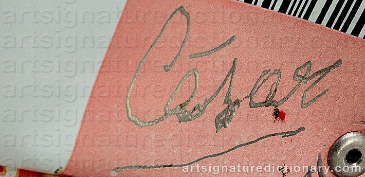 Signature by César ‘César’ BALDACCINI