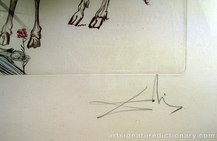 Close-up details showing Salvador DALI signature forgery characteristics