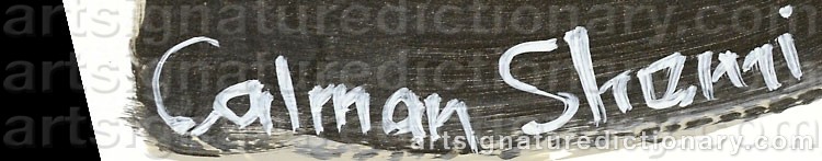 Authentic signature by Calman SHEMI on  artwork