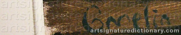 Signature by Felix GMELIN