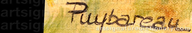 Authentic signature by Annie PUYBAREAU on  artwork