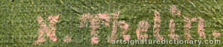 Authentic signature by N THELIN on  artwork