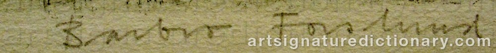 Authentic signature by Barbro FORSLUND on  artwork