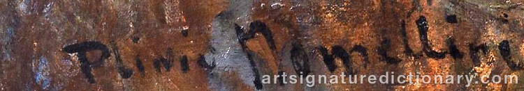 Authentic signature by Plinio NOMELLINI on  artwork