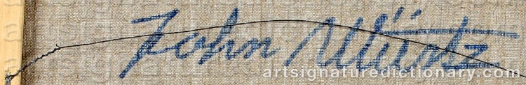 Authentic signature by John WÜRTZ on  artwork