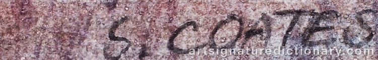 Authentic signature by Stephen COATES on artwork