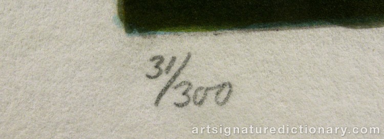 Close-up details showing Salvador DALI signature forgery characteristics