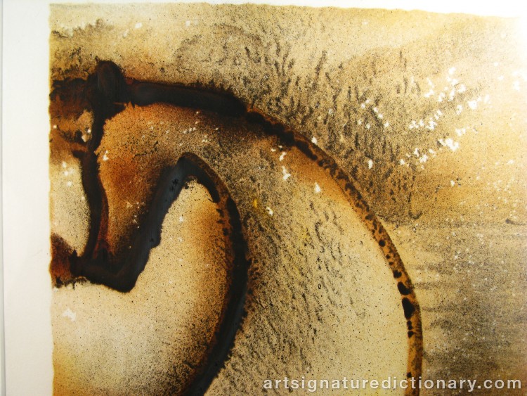 Close-up details showing Salvador DALI signature forgery characteristics