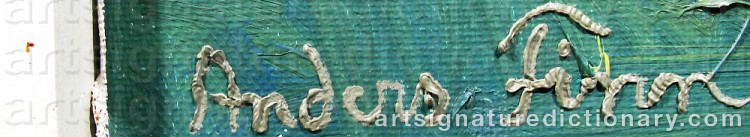 Authentic signature by Anders FINN on  artwork